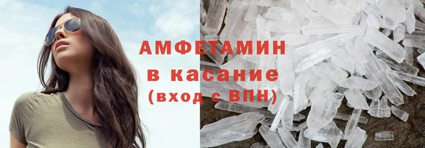 ГАЛЛЮЦИНОГЕННЫЕ ГРИБЫ Ельня