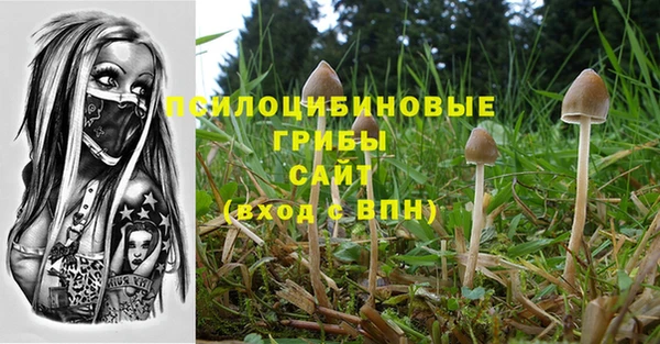 мет Алзамай