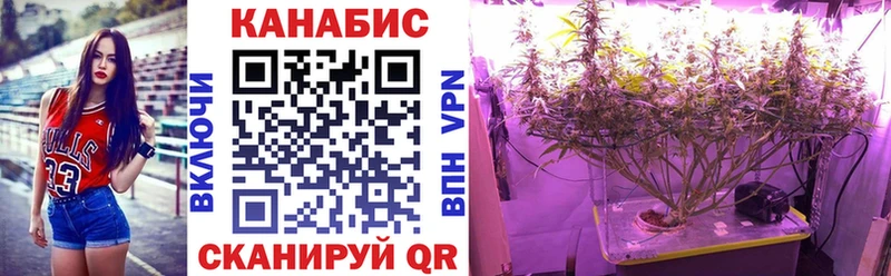 Бошки марихуана SATIVA & INDICA  цены   ссылка на мегу ССЫЛКА  Туринск 